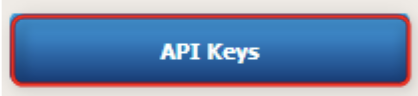 api key button