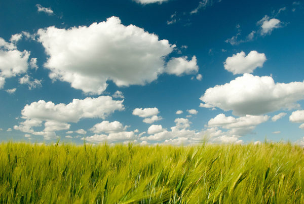 clouds and glass