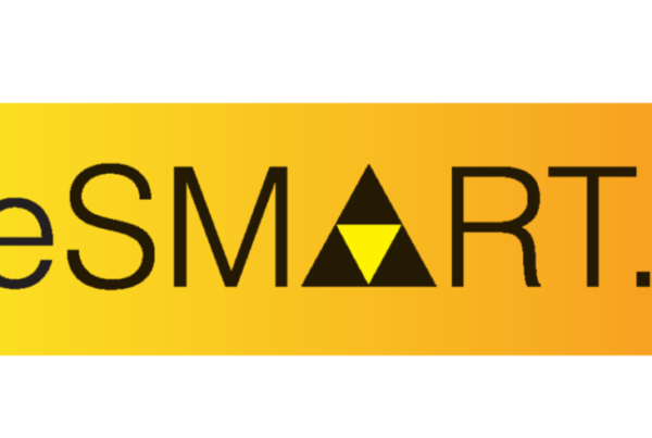 be smart ie logo