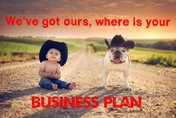 Business Plans: Are They Required When Seeking Financing?