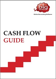 cash flow guide cover