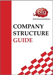 company structure guide cover
