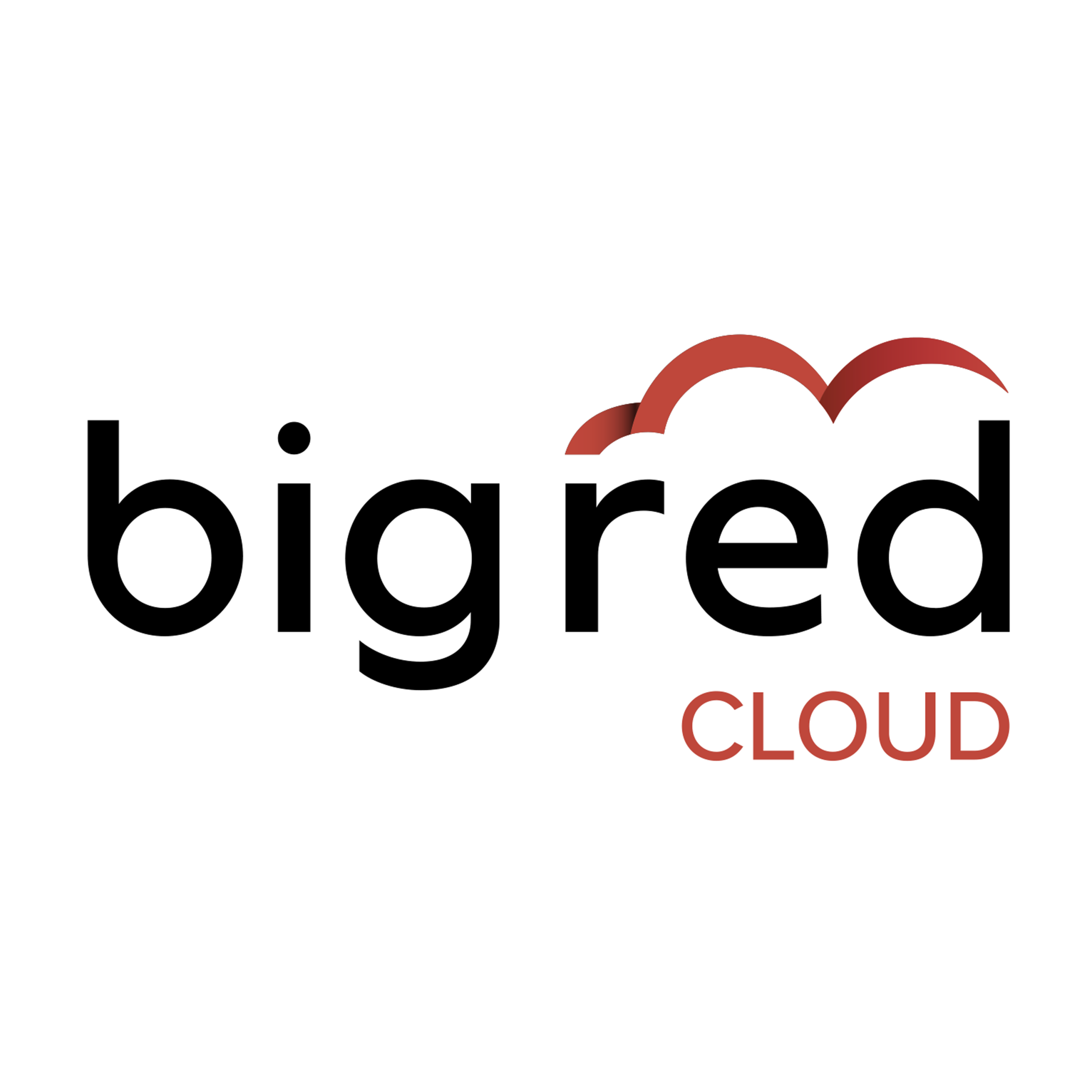 Customer Success Executive | Big Red Cloud