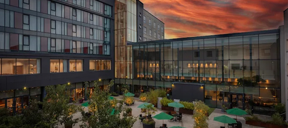 Whites-of-Wexford | Wexford