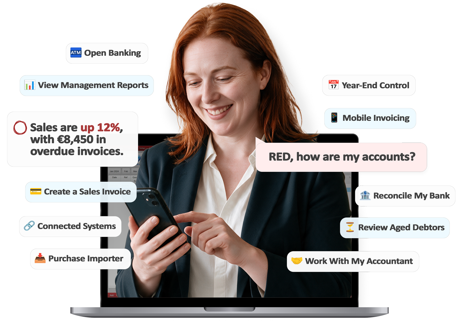 Accounting-Software-Big-Red-Cloud